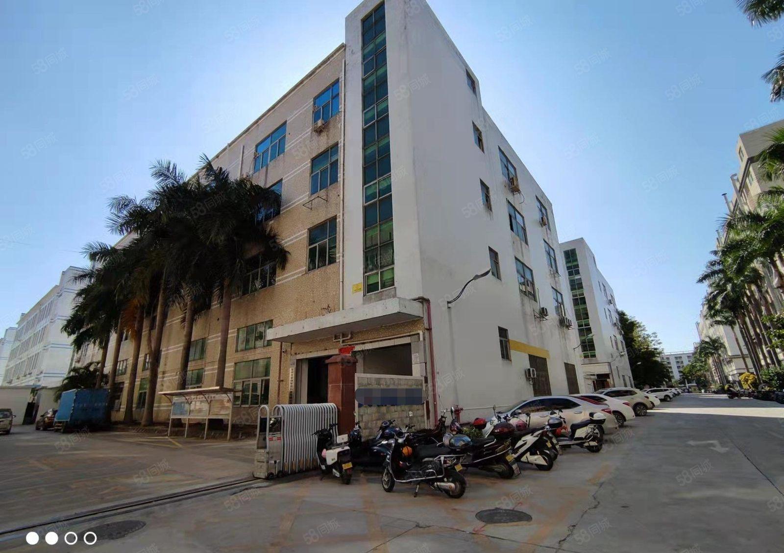 沙井新桥高速口工业园区精装修2000平厂房出租高新补贴