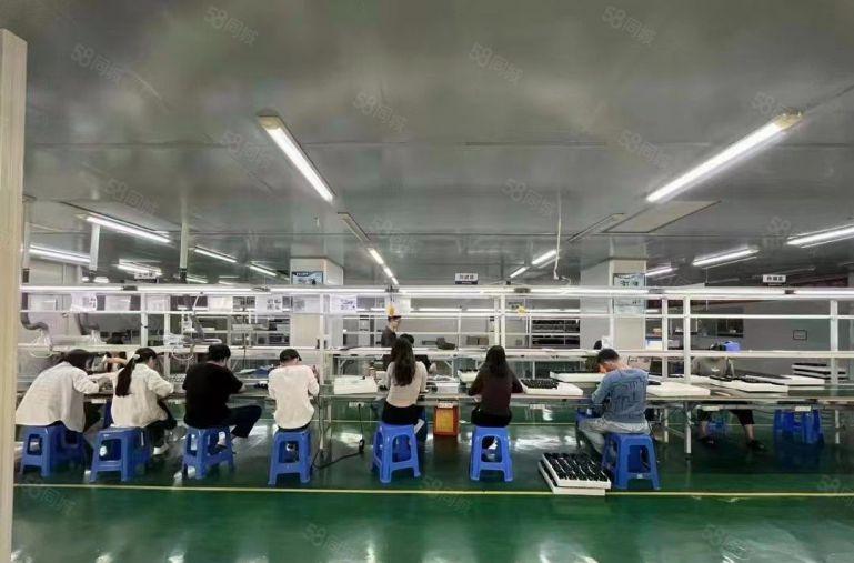 松岗大田洋国资委厂房出租独院1到3层4300平米  高度6米