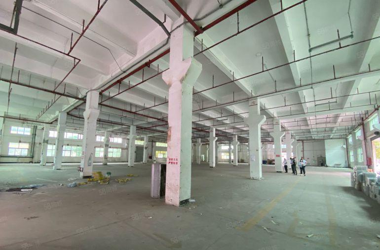 沙井村委直租5栋四层每栋5400平方可分栋出租围院子重新翻新