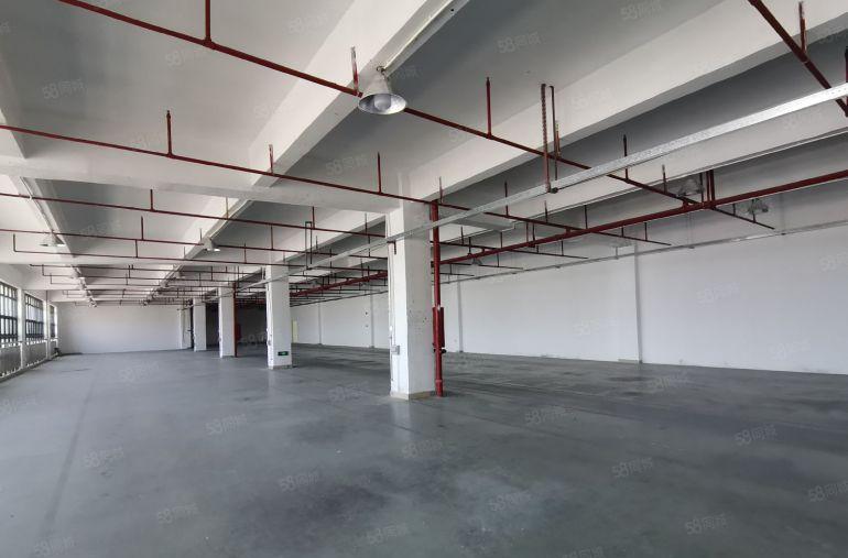 松岗107国道大田洋1800平精装修红本工业园区低价厂房出租