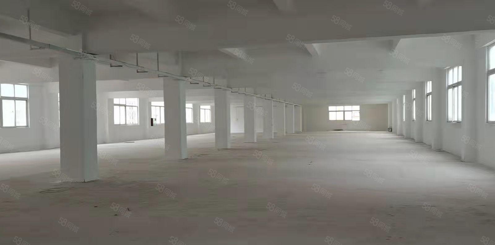 松岗罗田工业园原房东独门独院厂房5500平空地超大，可分租