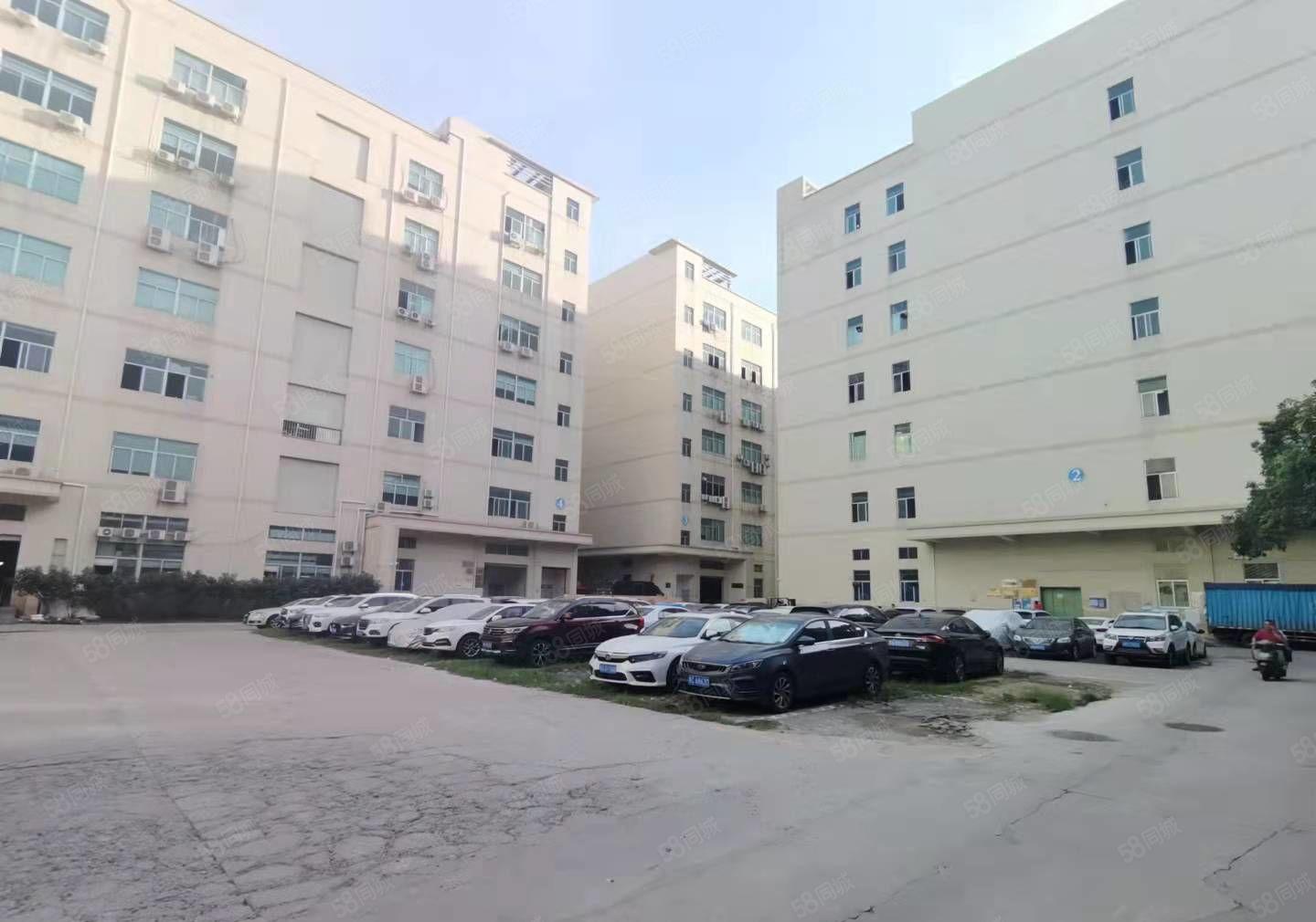 石岩洲石路附近原房东独门独院一楼1000平精装修厂房出租仓库