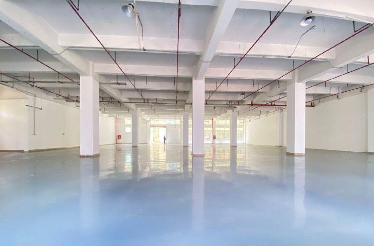 宝安沙井5000平精装修办公室厂房仓库出租 300平起分租