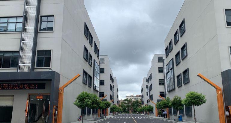 出租石岩石龙仔红本厂房600平起合同5年带喷淋原房东带装修