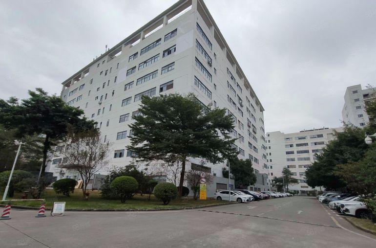 石岩塘头独栋厂房出租现成装修主干道边500平起分租