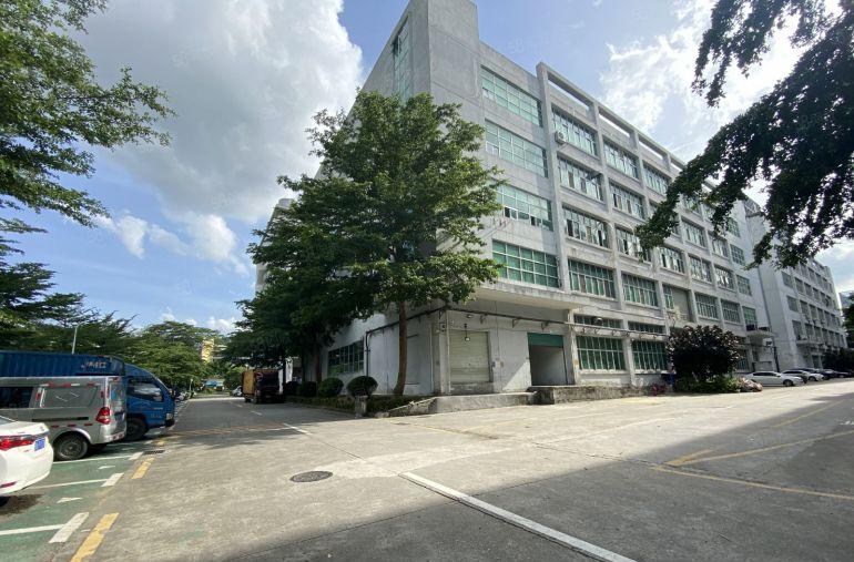 可分租低至22元村委直租石岩新出500平精装办公仓库厂房出租