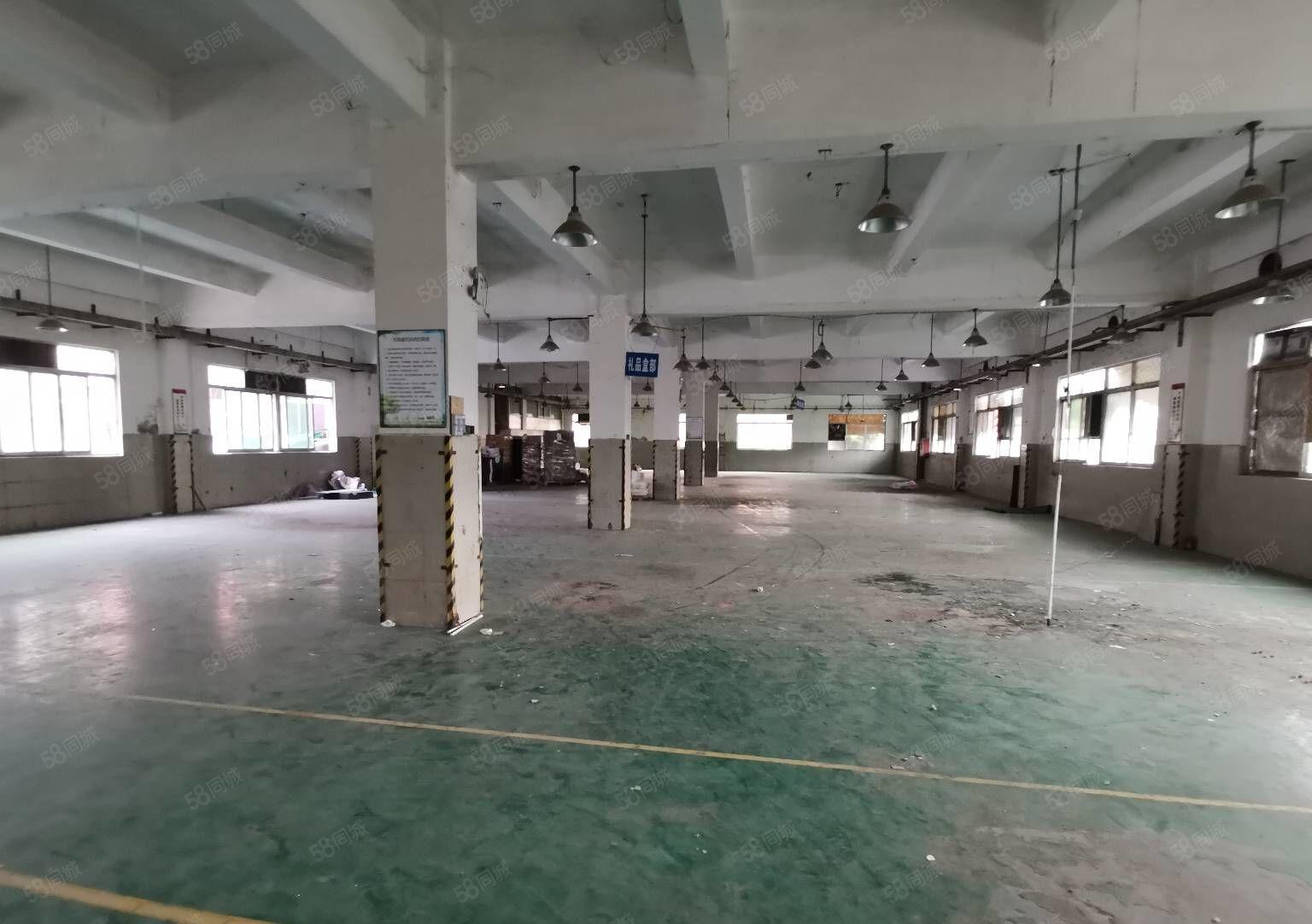 西乡洲石路旁独院分租一楼300平快递物流仓储可进出17米拖头