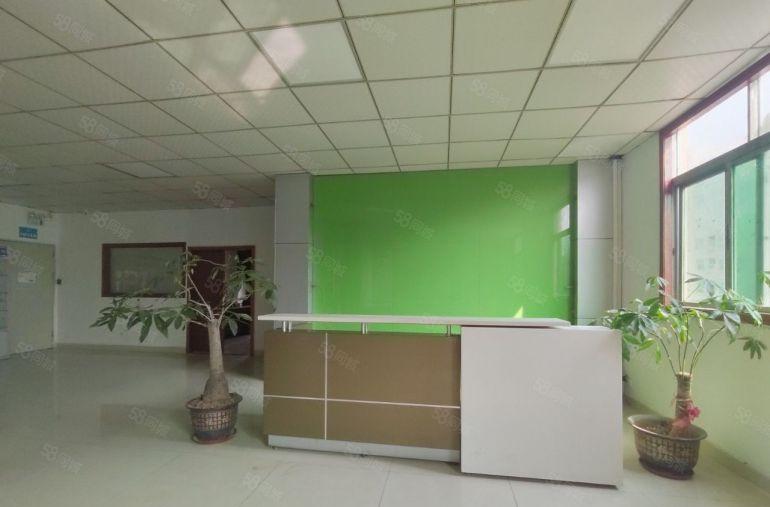 沙井工业园900平精装一楼厂房出租低价仓库出租可分租无尘车间