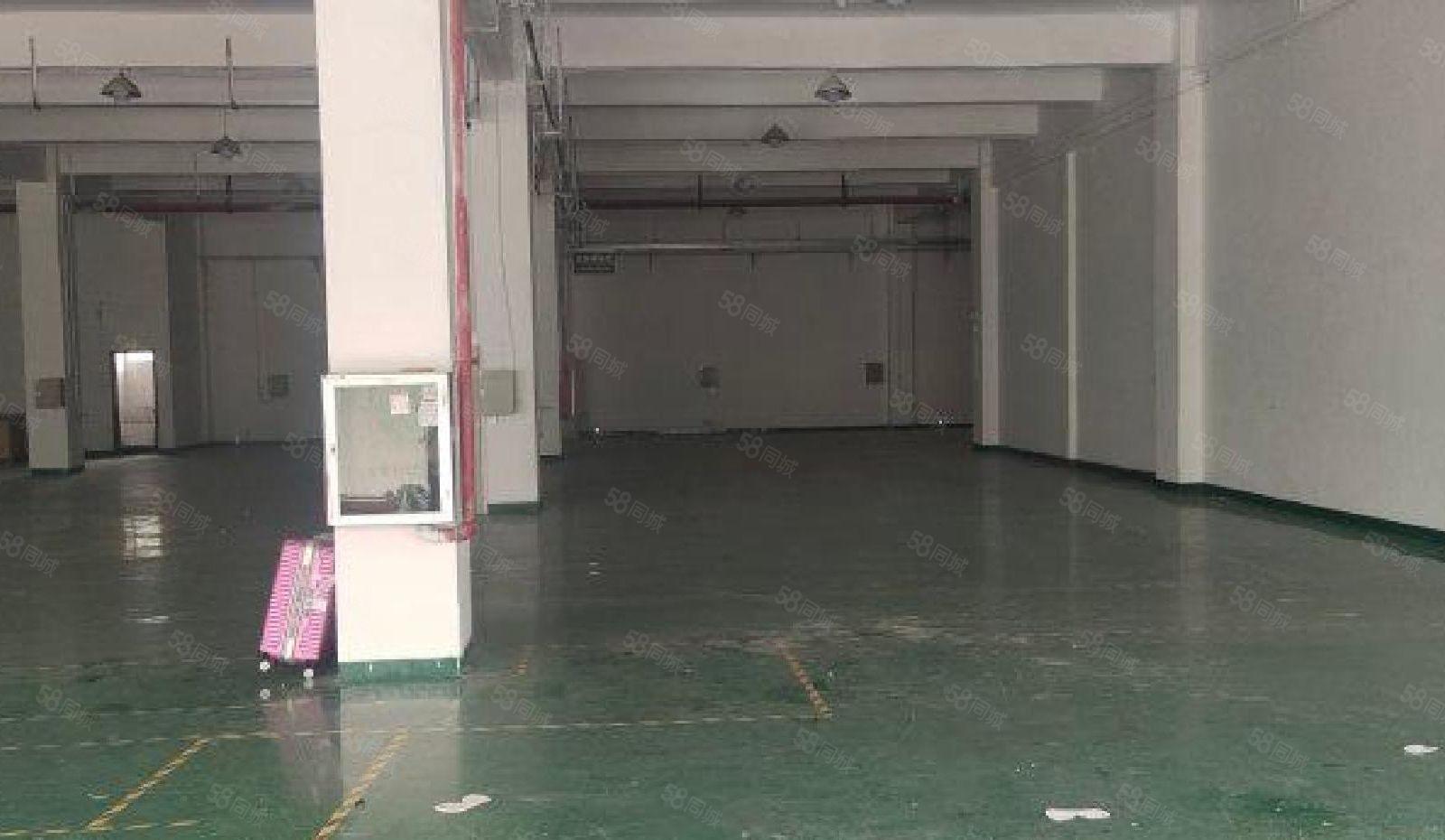 福永新和福州大道800平厂房出租招租仓库可分租空地大主干道