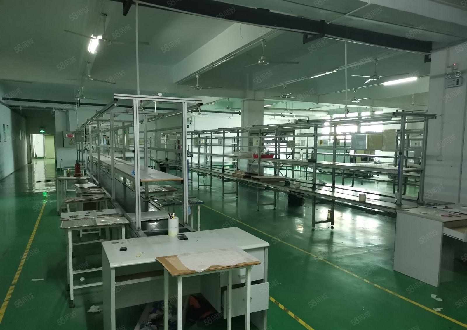 福永桥头富桥工业区楼上1500平米带装修厂房出租