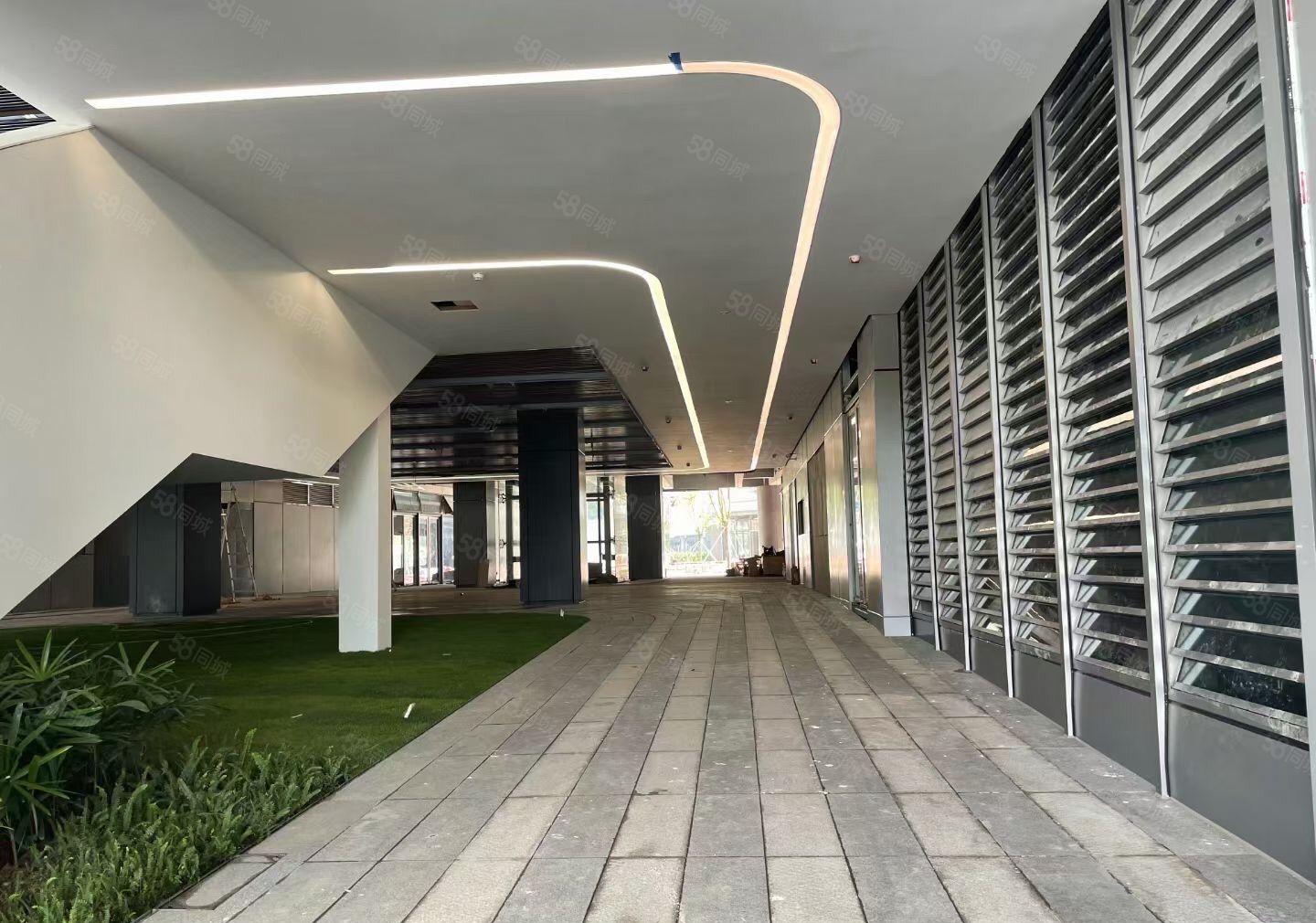 光明1000平高新园区厂房写字楼出租可分租有补贴低价出租