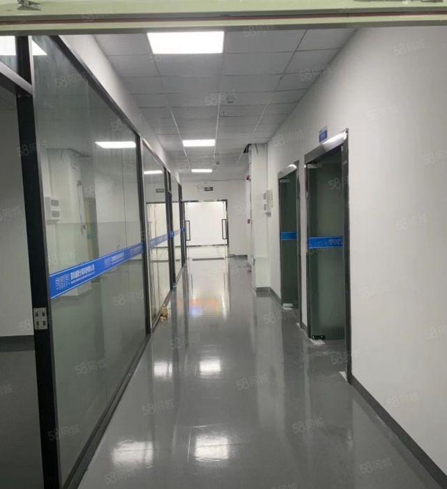 西乡臣田工业园新装修无尘车间3000平出租合适光电贴片电子