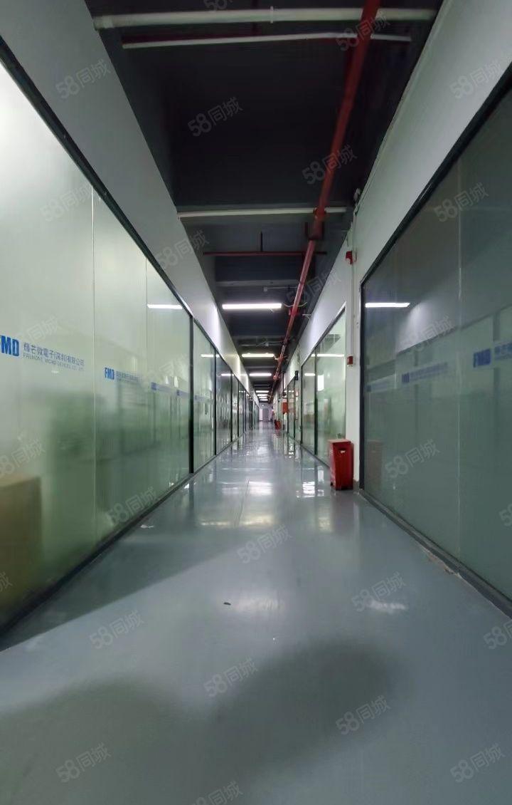 兴东地铁口，业主直租。位于宝安新安五号线，交通便利。