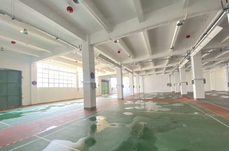 西乡九围原房东一楼实际面积1750平厂房仓库出租大园区空地大