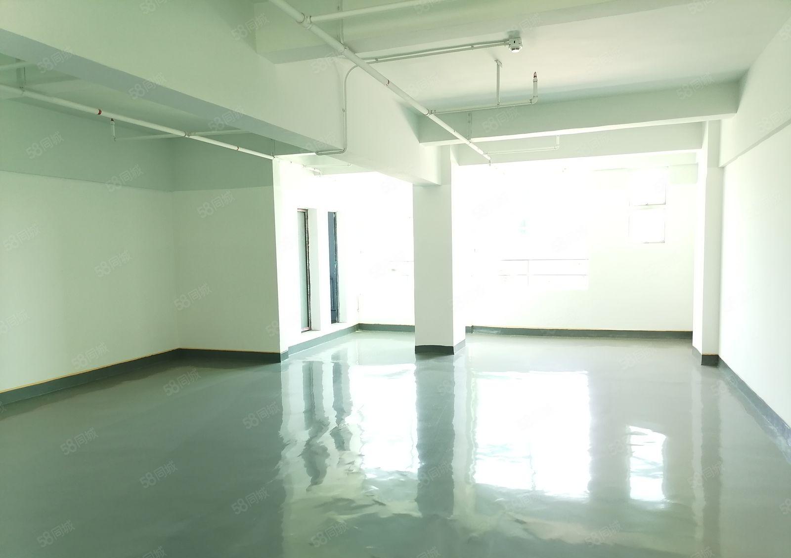 沙井和一4000元精装修厂房出租