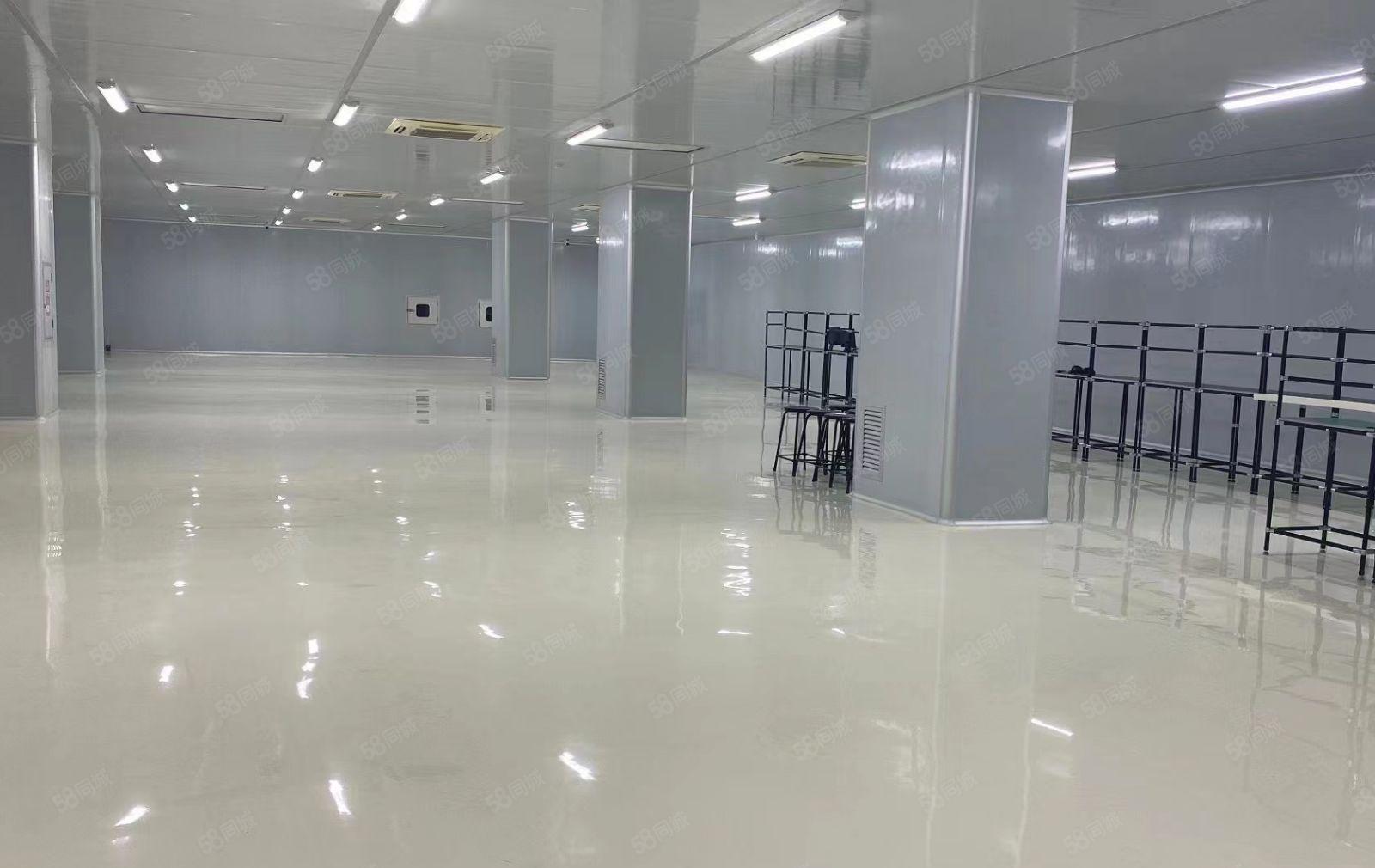 石岩石龙仔工业区500平1000平2000平精装厂房仓库出租