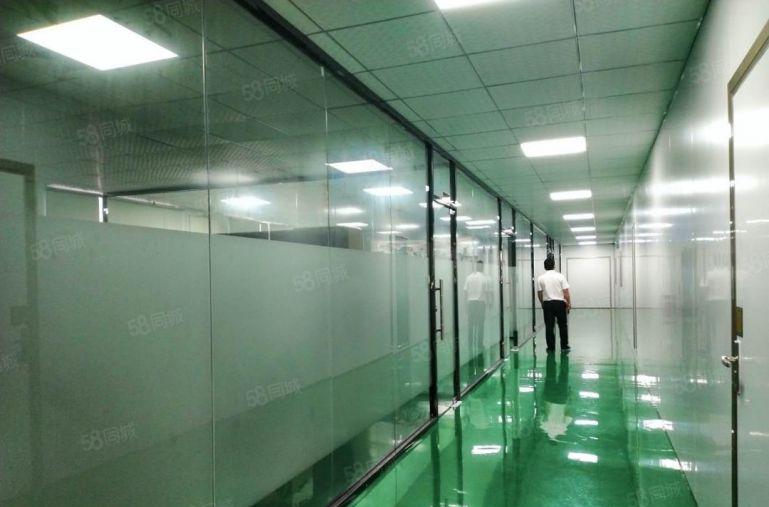 福永原房东科技桃花源2000平米精装修无尘车间厂房出租招租