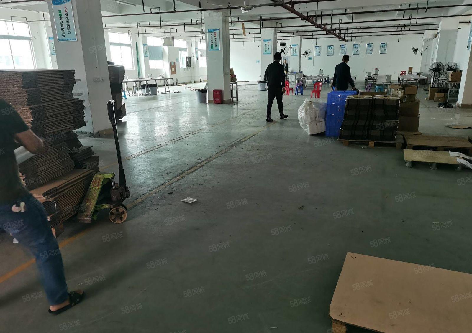 福永地铁口村委300平至2000平精装修低价仓库厂房出租