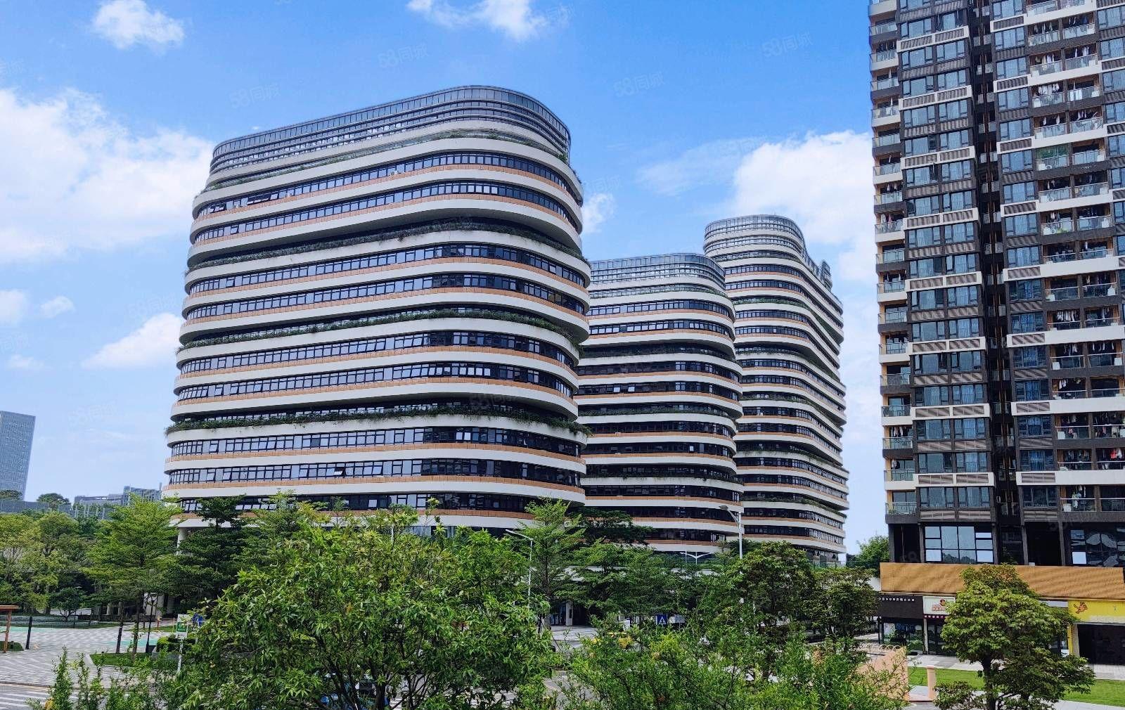 光明城高铁站附近全新原房东红本厂房写字楼出租