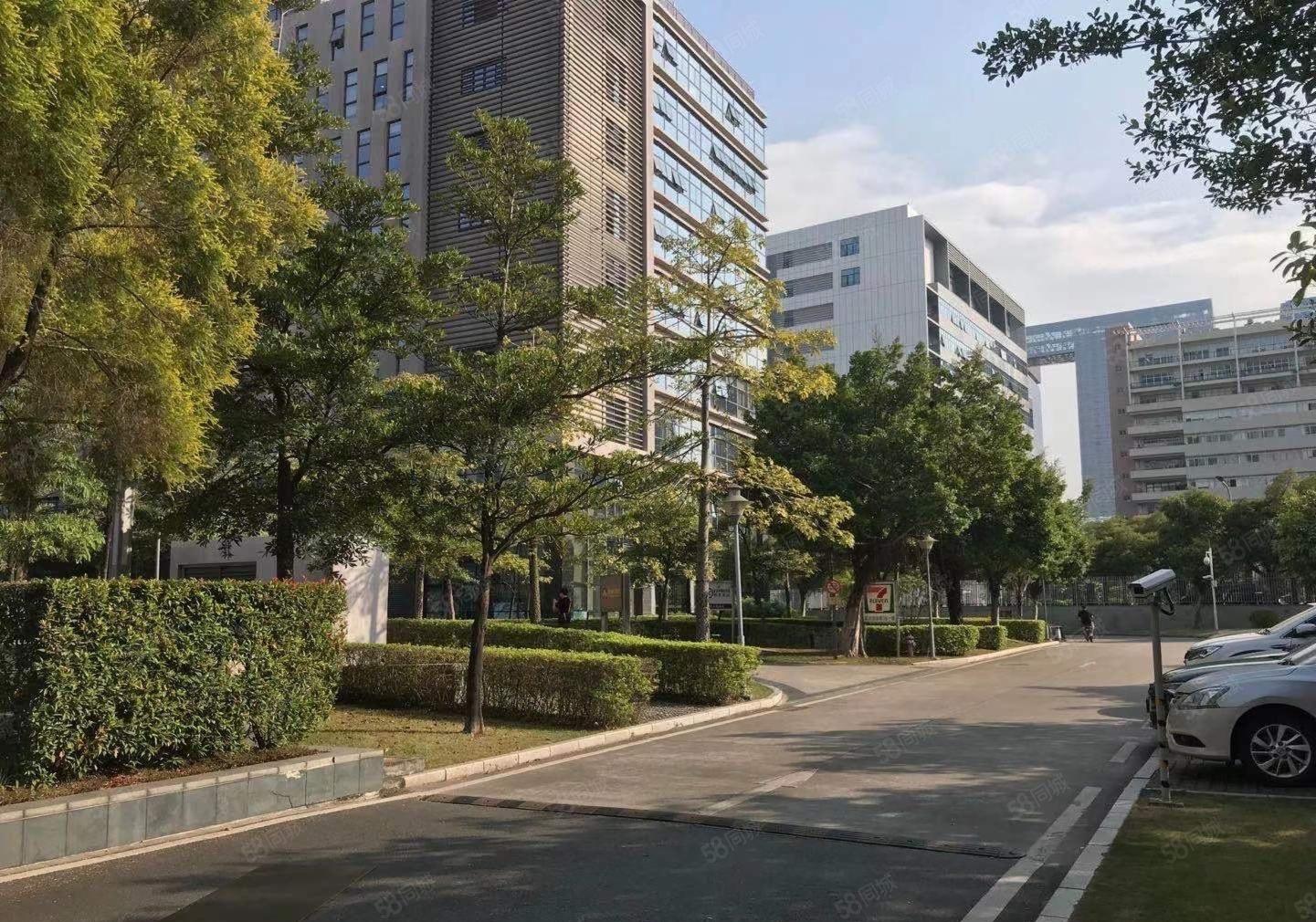 光明高新区精装200平至1000平电商直播办公室仓库厂房出租