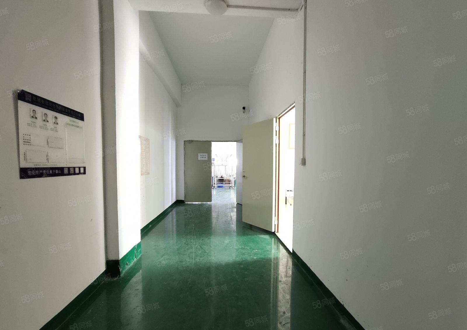 鹤州九围洲石路边，整层800平，可分两家实墙隔断，9成使用率