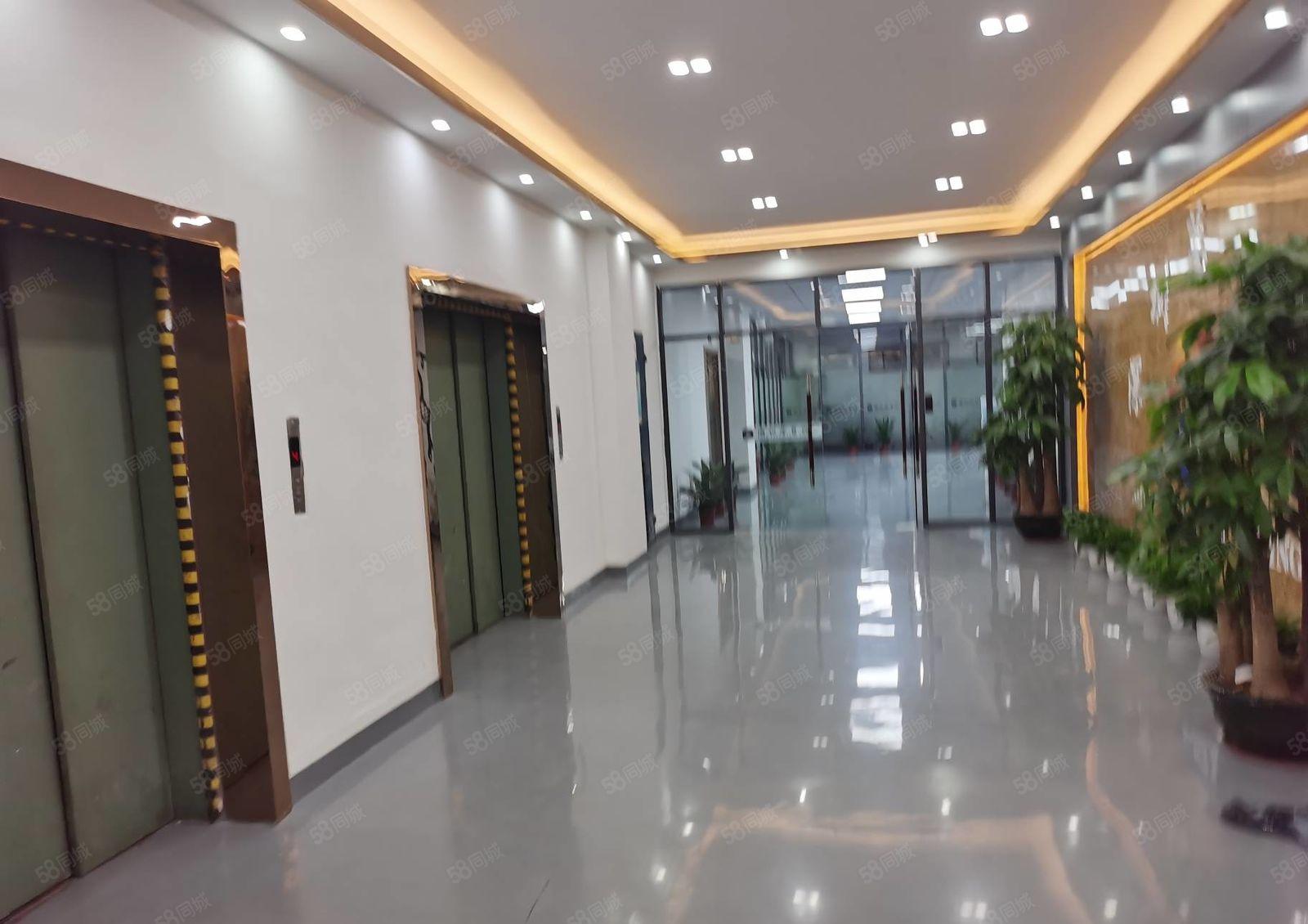 福永原房东红本8800平独院仓库厂房出租无公摊可分租方便招工