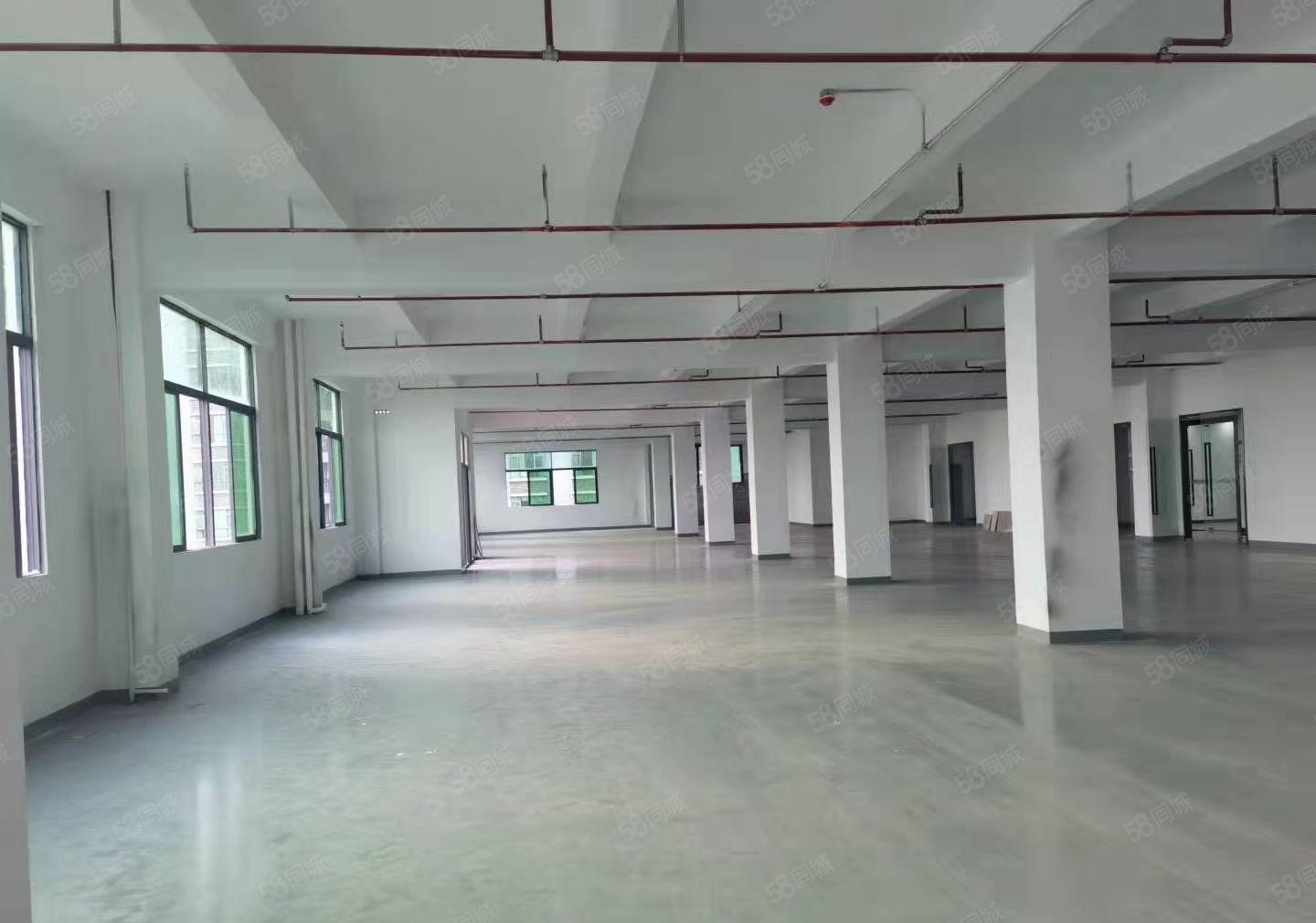 西乡前进二路边新出独门独院整栋全新厂房7100平出租