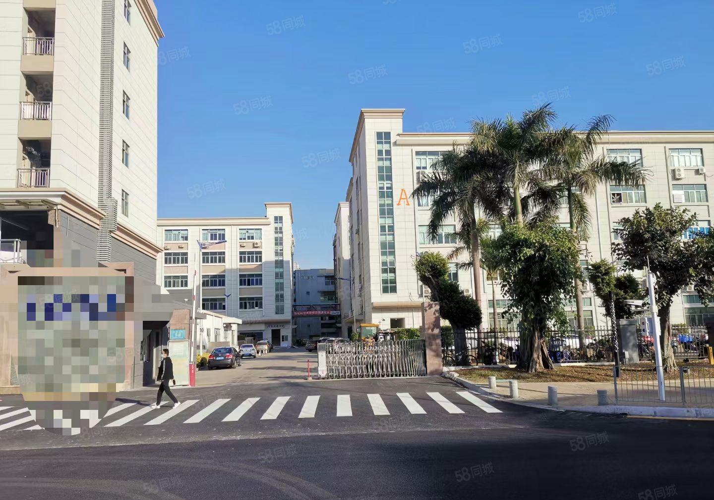 福永塘尾楼上1500平出租带全新地坪漆可分租可整租园区交通方