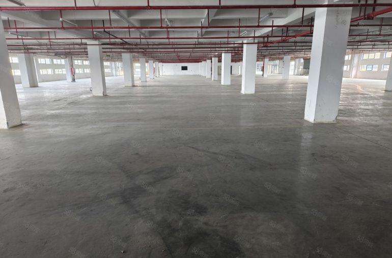 福永地铁站宝安区科技桃花源5000平米厂房仓库低价出租招租