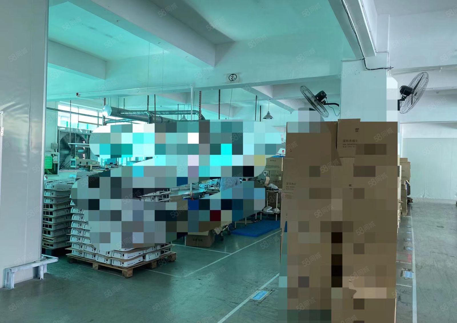 松岗燕山大道旁原房东三楼1300平实用面积可做纸箱厂房出租