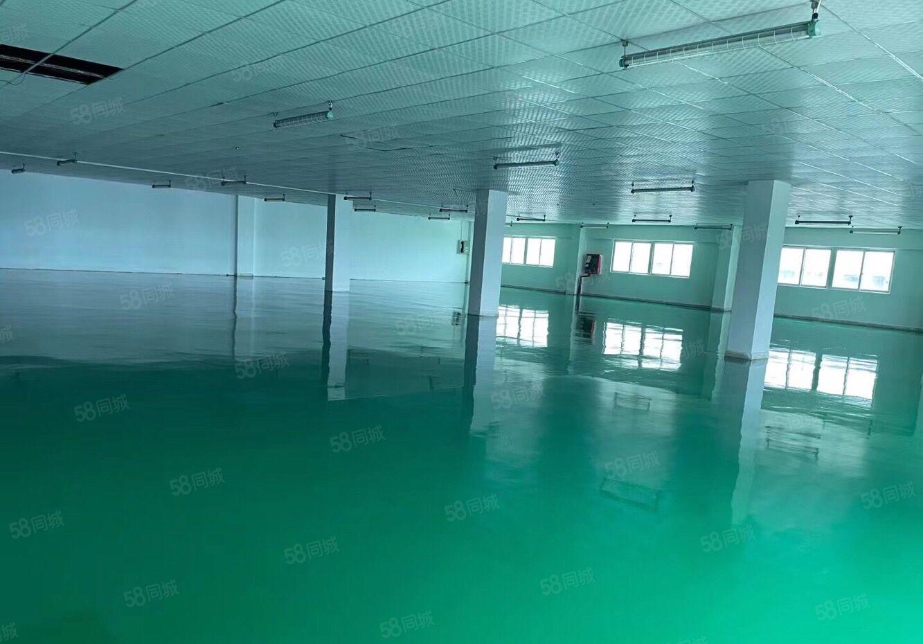 原房东石岩应人石工业区新出1000平厂房出租带装修全新地坪漆