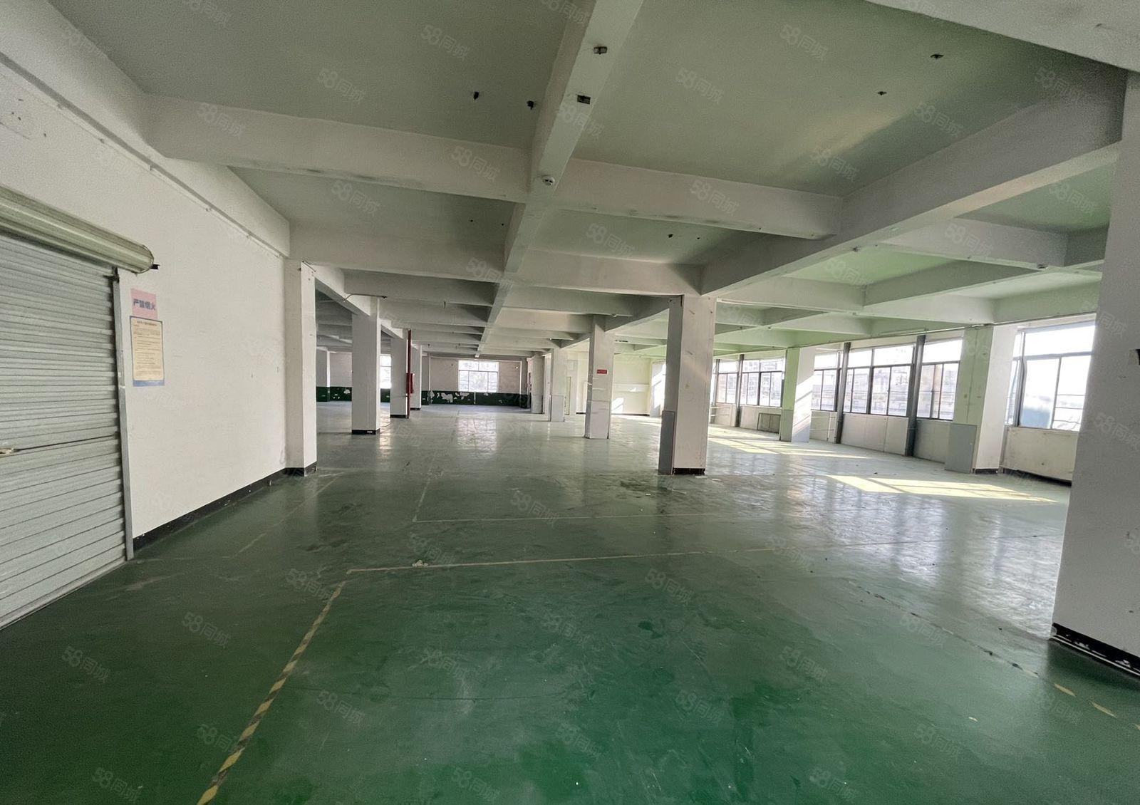 西乡鹤洲桥底附近楼上豪华装修1155平