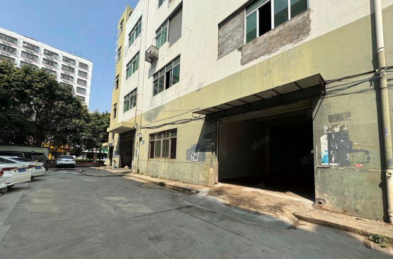 石岩原房东一楼500平厂房出租，200平起分