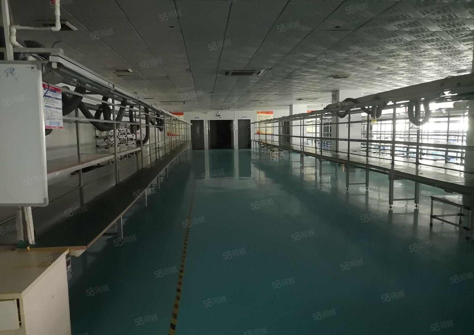 福永桥头新出厂房2400平米带豪华装修招租