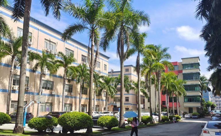 200平500平1000平宝安松岗地铁口原房东低价出租带红本