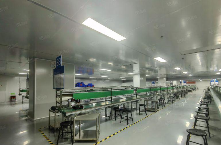 福永大洋田新出花园式厂房4楼整层3400平米精装修带无尘车间