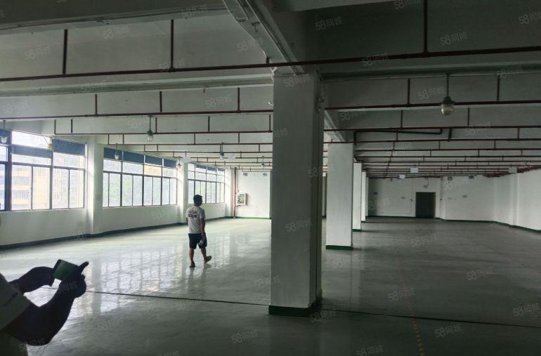 宝安兴东原房东12000平方红本厂房独门独院厂房出租可以分租