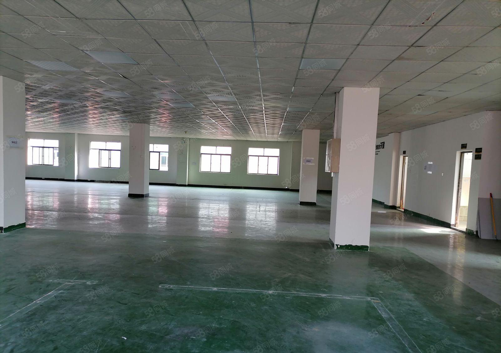 西乡固戍大型工业区精装修厂房1000平出租