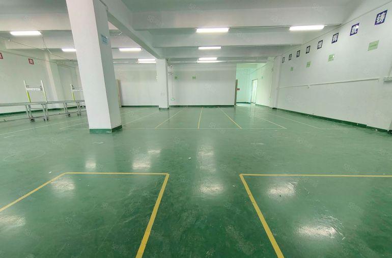 西乡九围800平带装修厂房仓库出租，25元，水电齐全，已电改