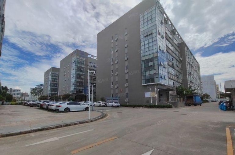 松岗原房东红本厂房 单层面积5000平方仓库出租国道旁空地大