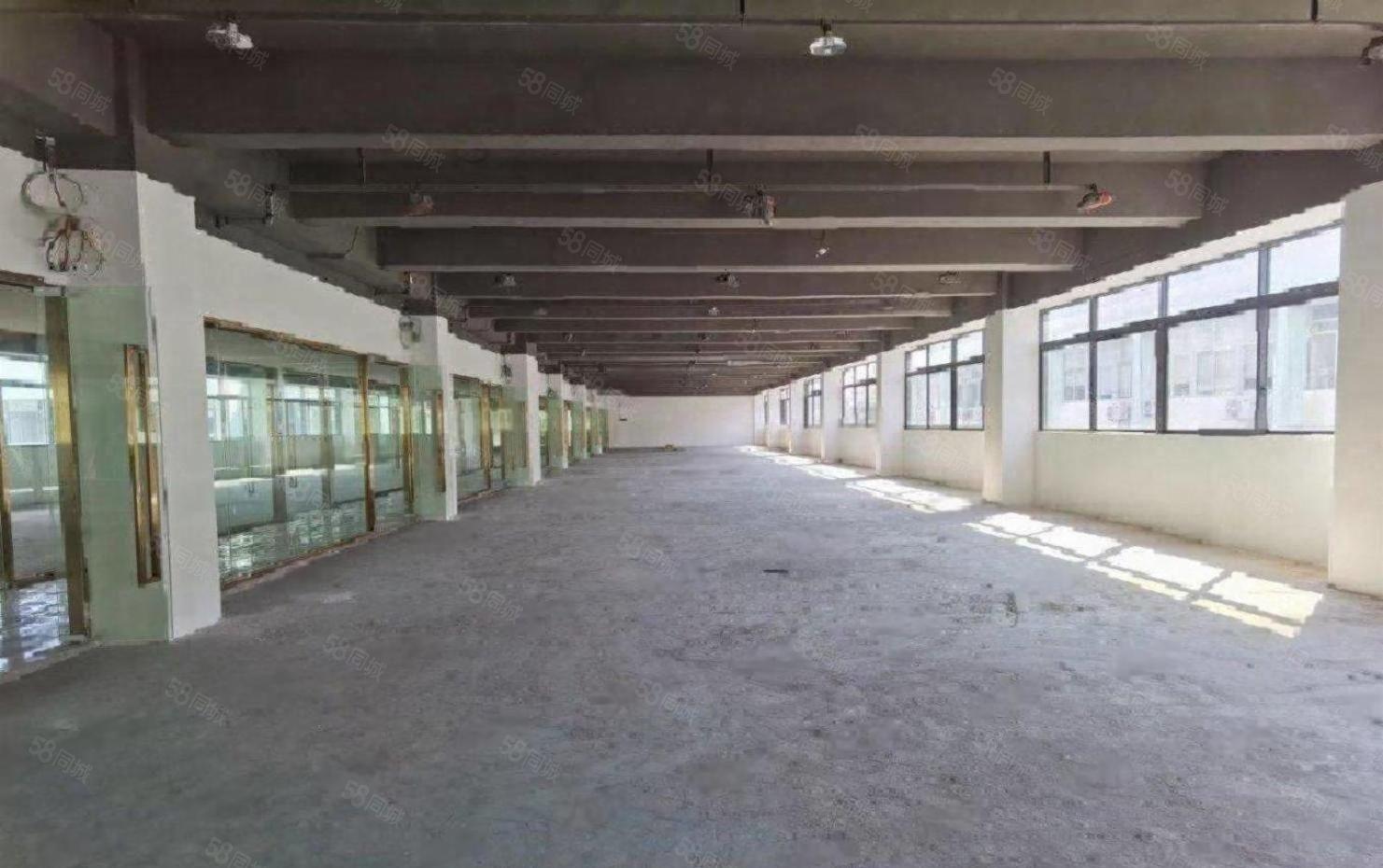 兴东洪浪北有88平至2500平特价35 低价厂房仓库出租