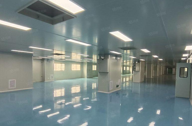 福永桥头育才工业区800平精装修办公室无尘车间厂房出租招租