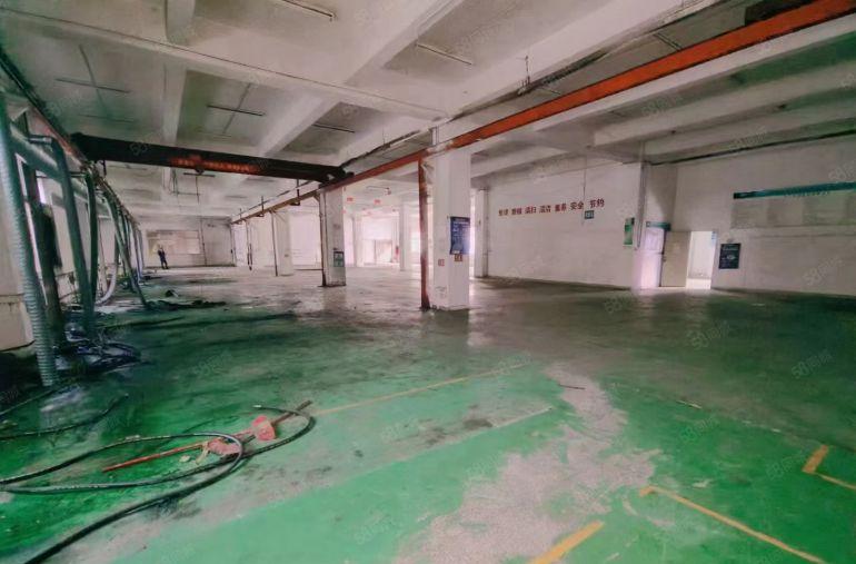 新桥高速原房东带红本带航车办公室装修一楼整层出租1600平