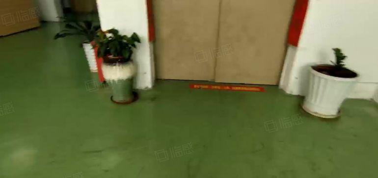 西乡，固戍大型工业，楼上带装修独立半层600平厂房，拎包入驻