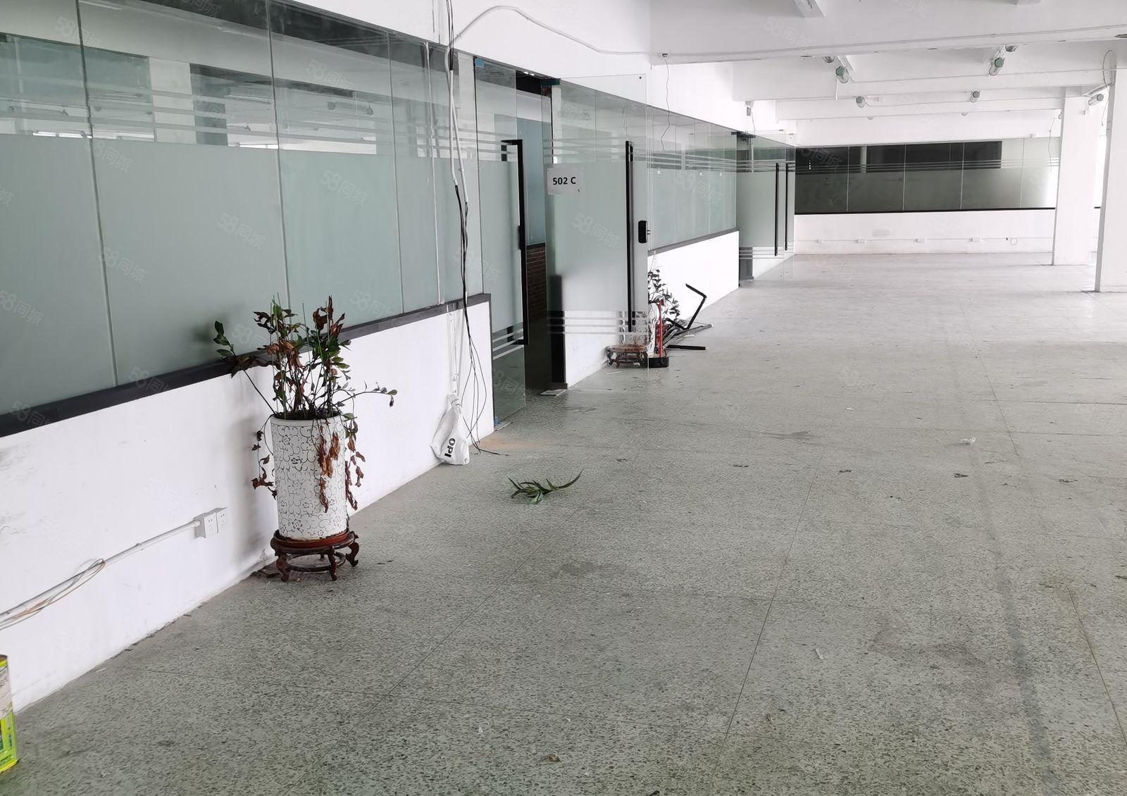 西乡107西成工业区精装365平565平1260平出租