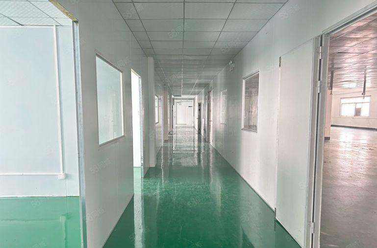 沙井新桥三区楼600平，主线到位，适合电子电商办公仓库等