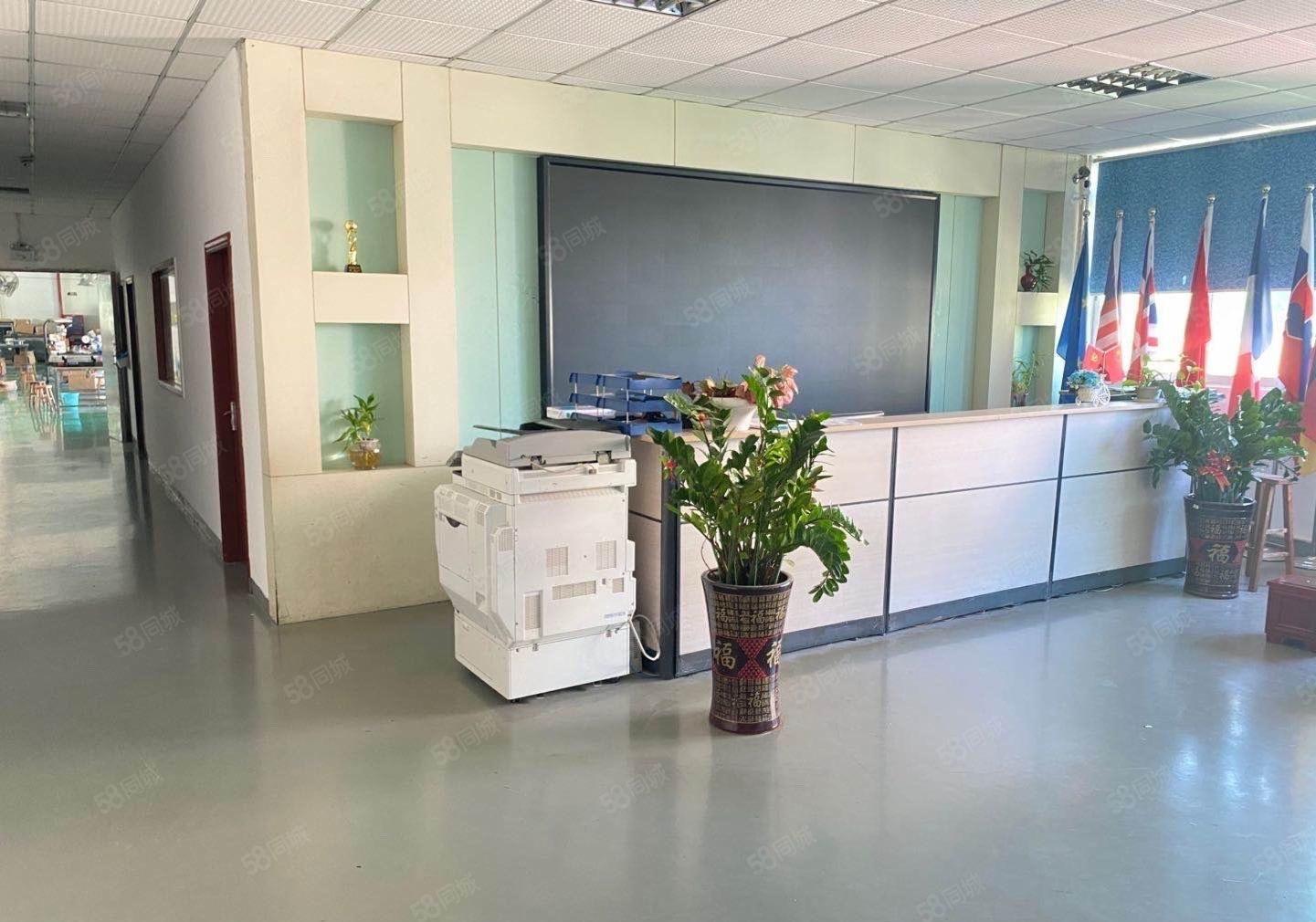 石岩塘头高新园200平至3000平精装办公室电商仓库厂房出租