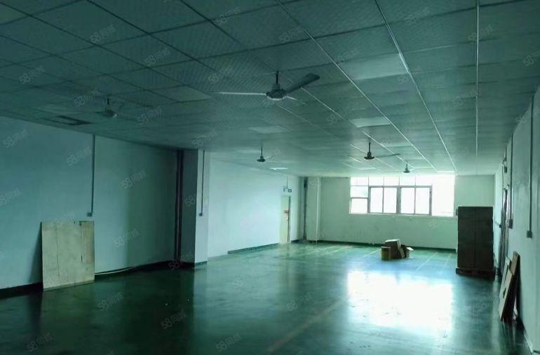 沙井新桥楼上带精装修300平厂房出租