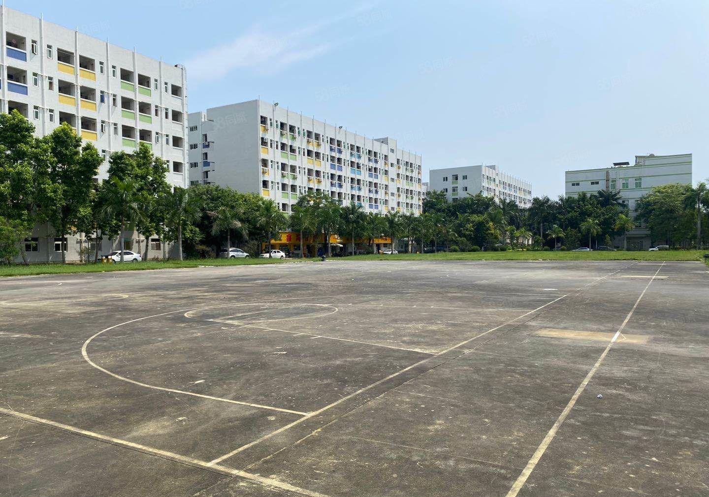 沙井后亭工业园2万平厂房出租区500平可分租园房东高新区.