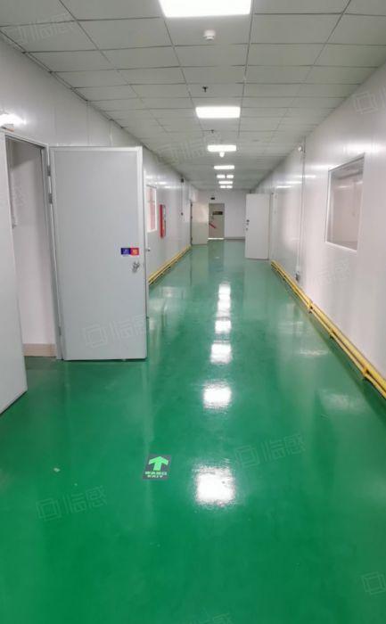 石岩惠科原房东整层精装3000平实际面积厂房出租！